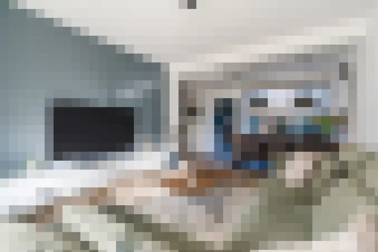 Wijnsel 15 Geldrop thumbnail 10