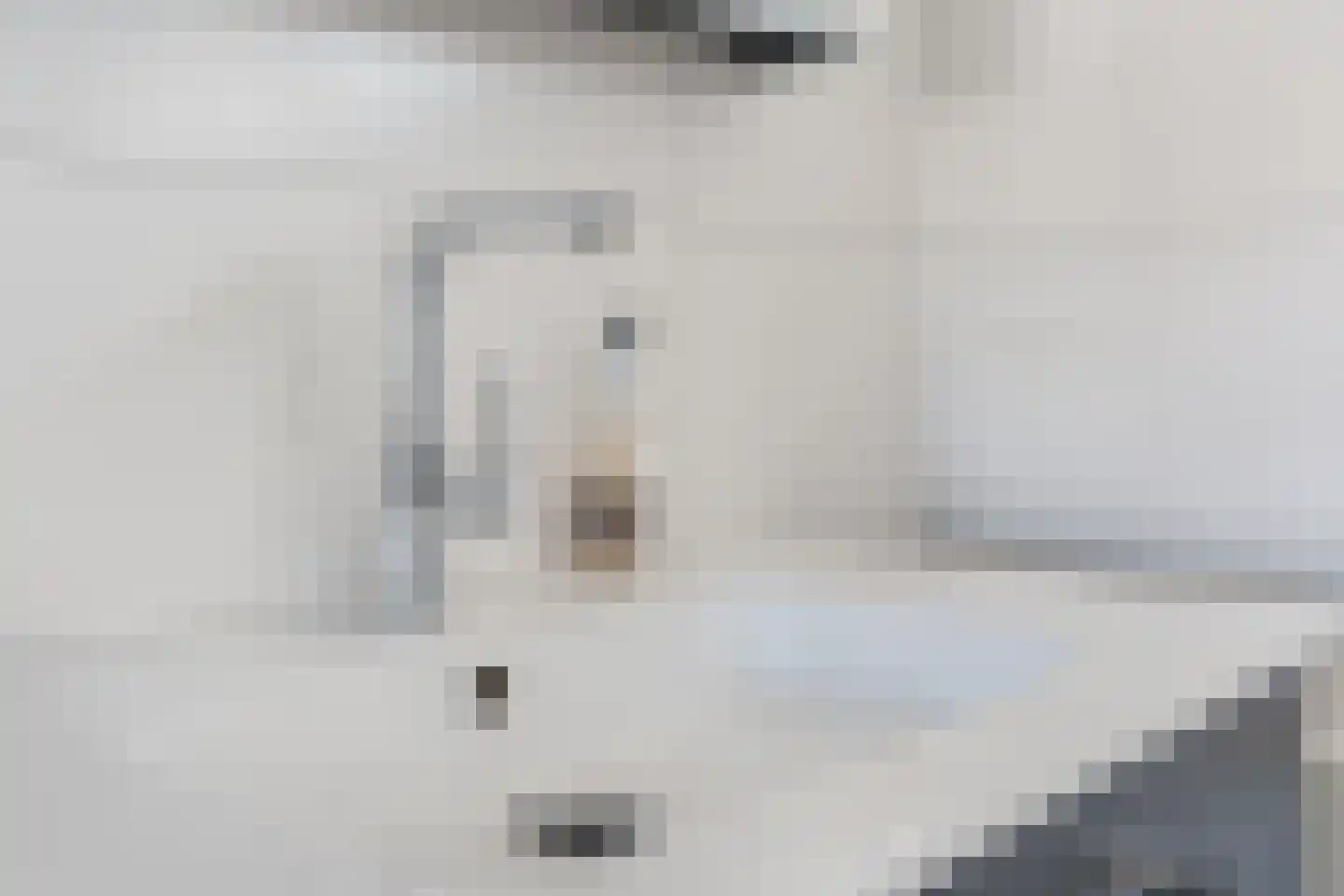 Wijnsel 15 Geldrop thumbnail 24