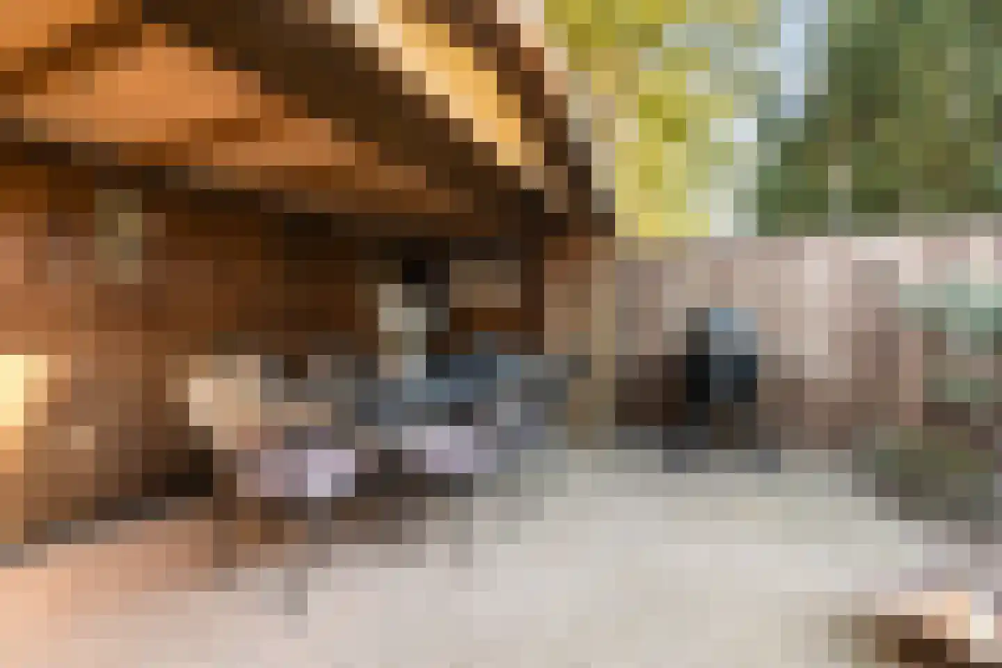 Wijnsel 15 Geldrop thumbnail 34