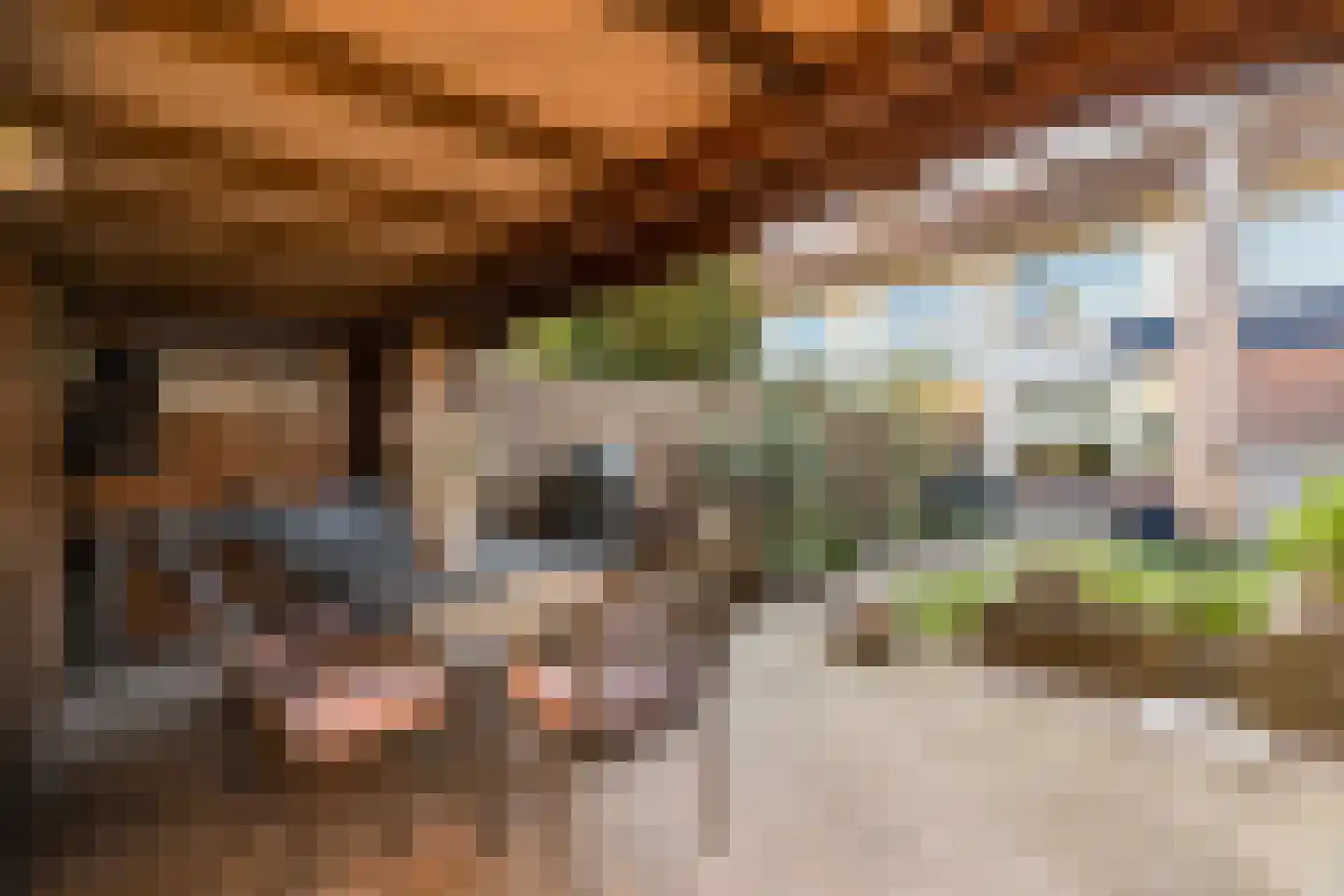 Wijnsel 15 Geldrop thumbnail 35