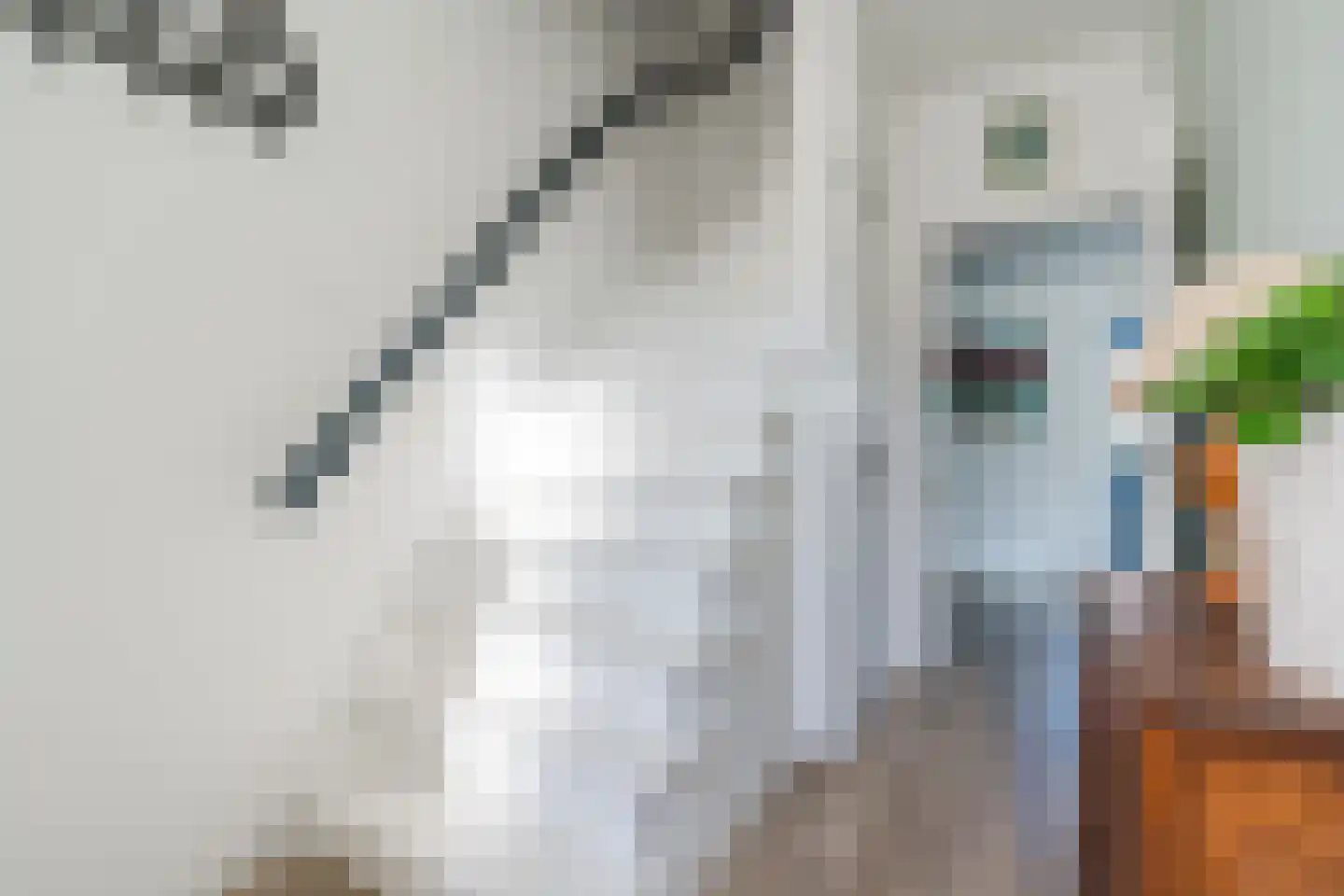 Wijnsel 15 Geldrop thumbnail 6