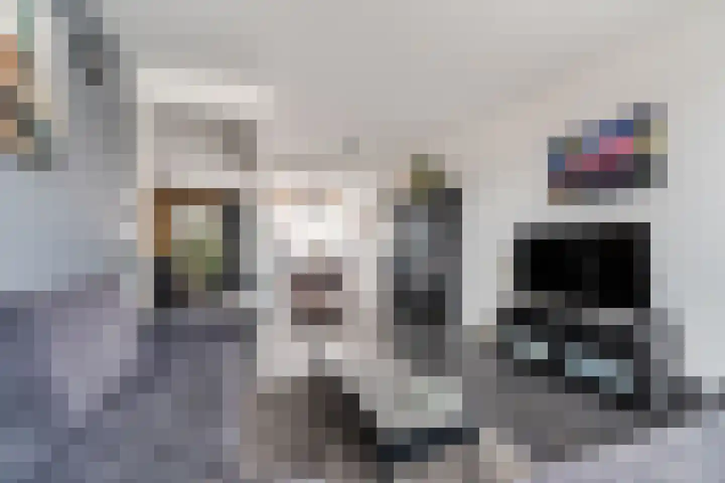 Wijnsel 30 Geldrop thumbnail 10