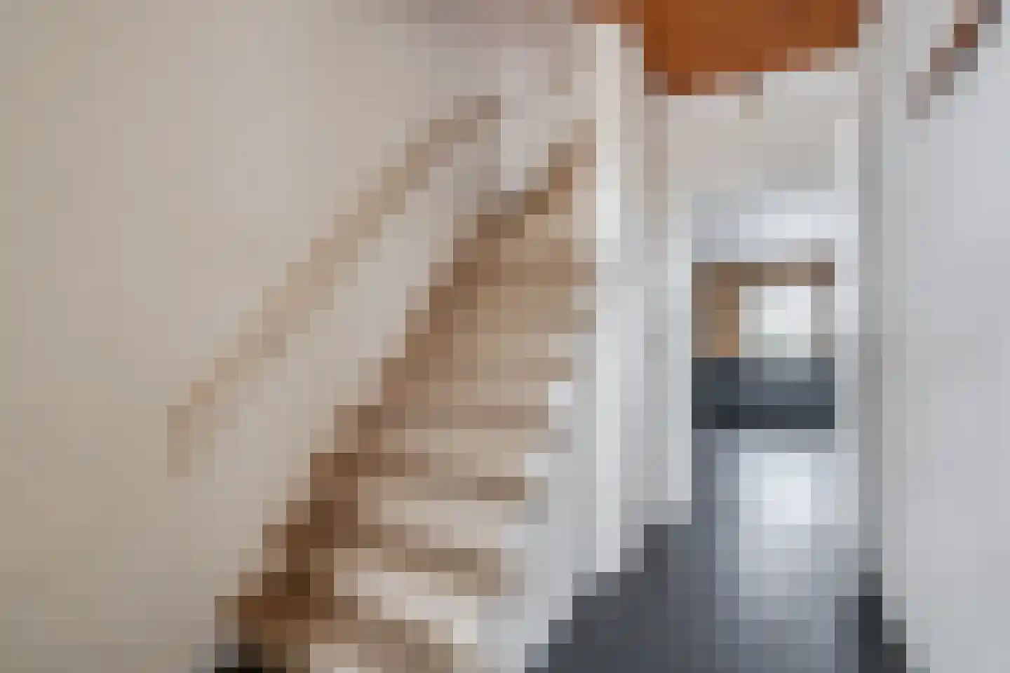 Wijnsel 30 Geldrop thumbnail 24