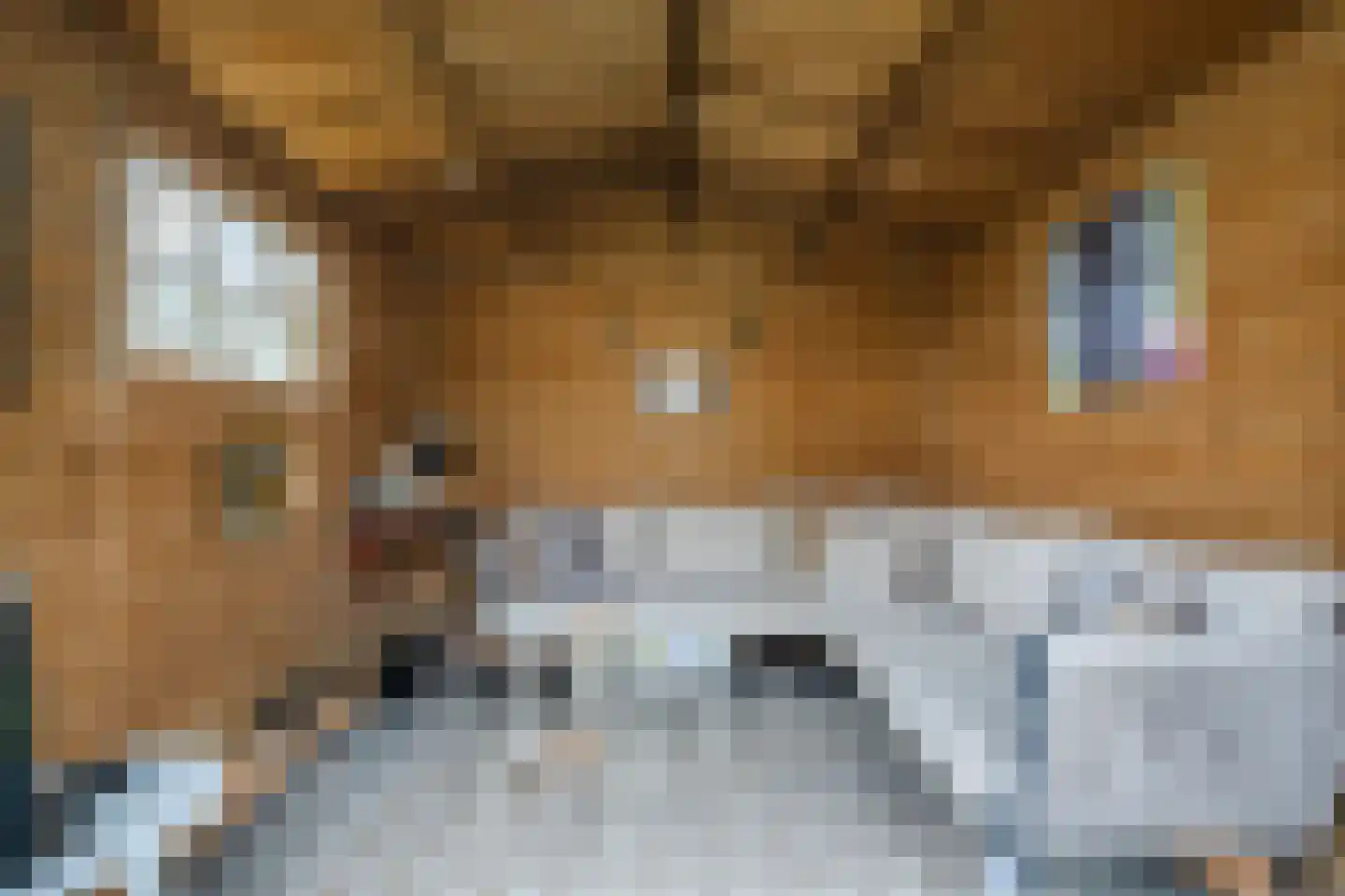 Wijnsel 30 Geldrop thumbnail 39