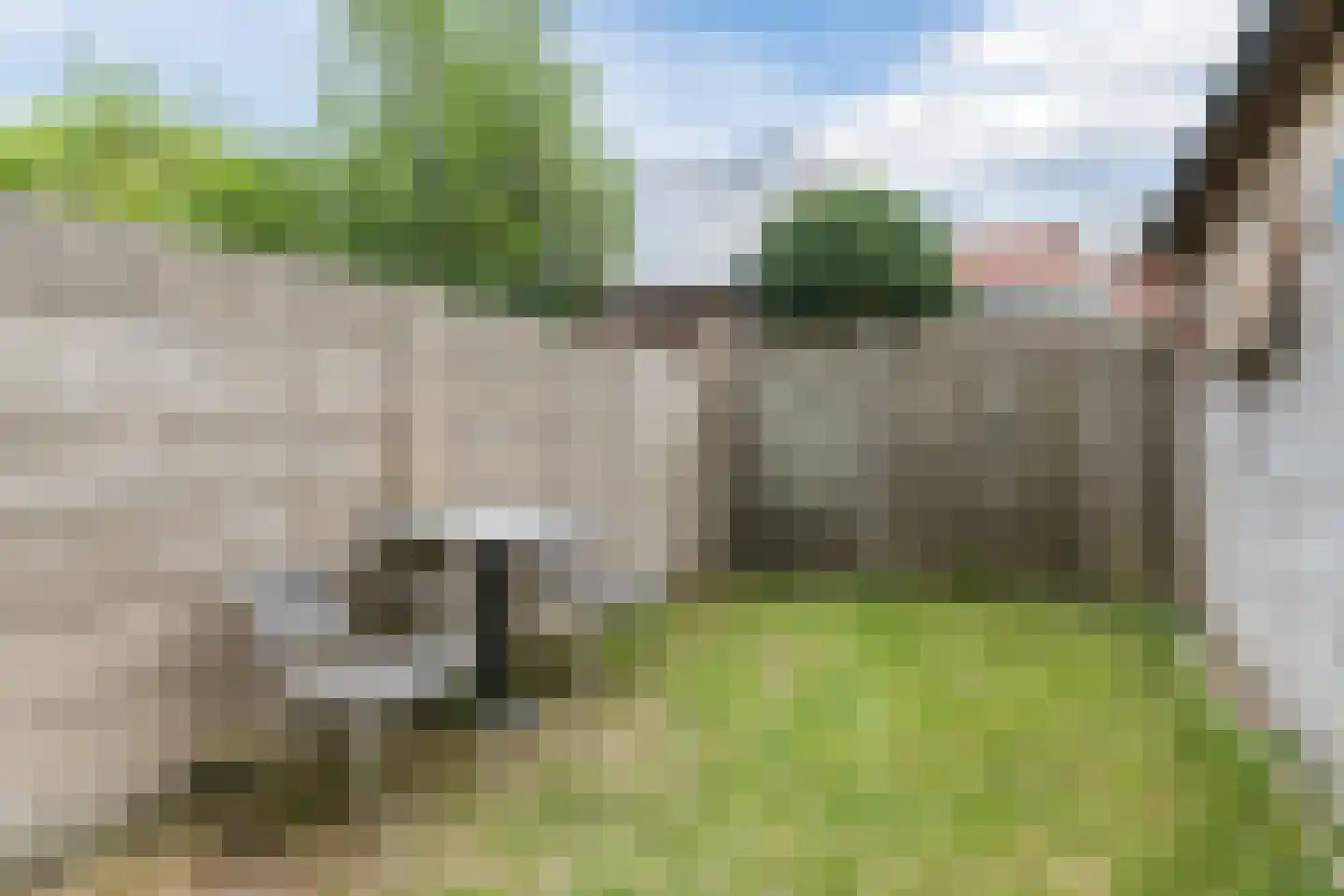 Wijnsel 30 Geldrop thumbnail 45