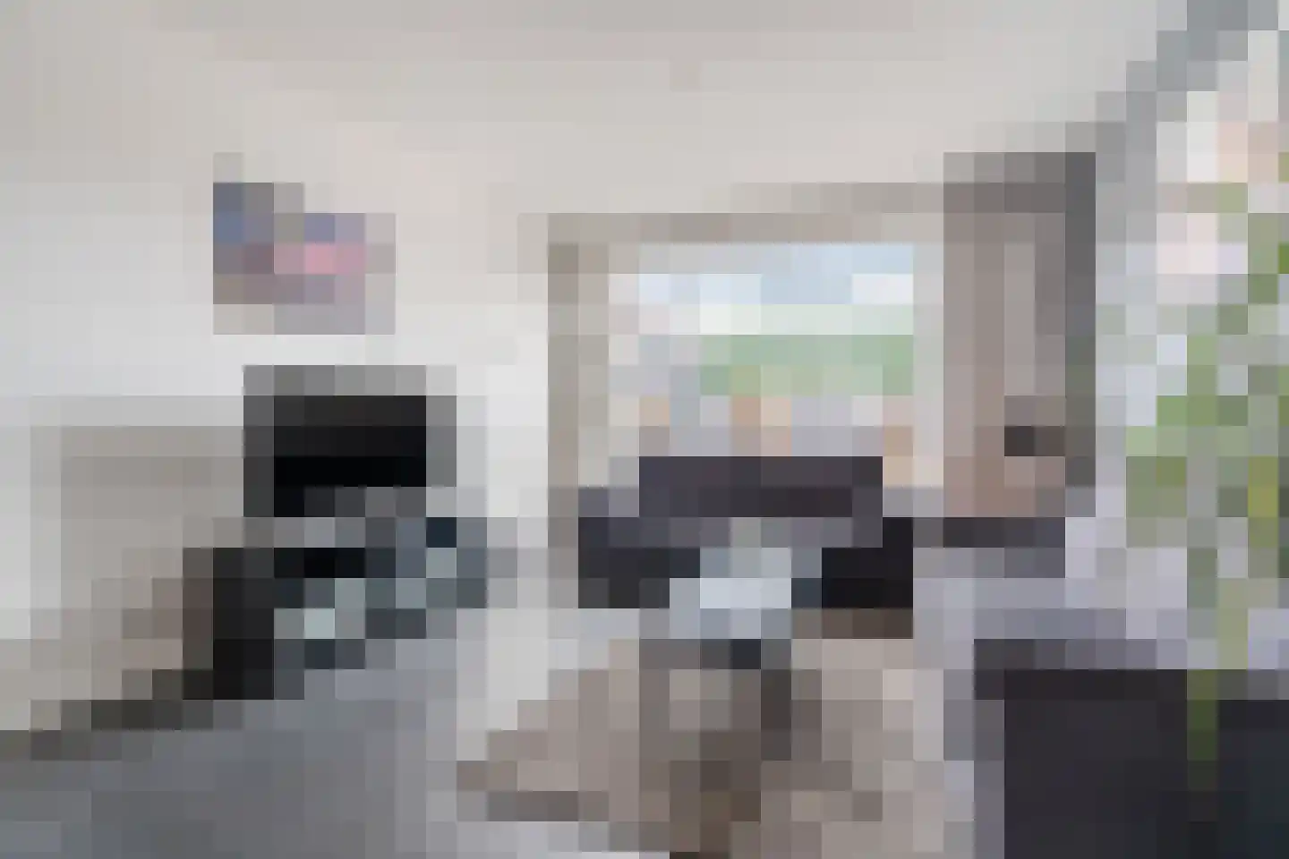 Wijnsel 30 Geldrop thumbnail 8