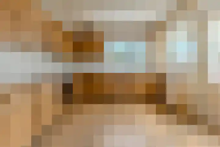 Wijnsel 34 Geldrop thumbnail 12