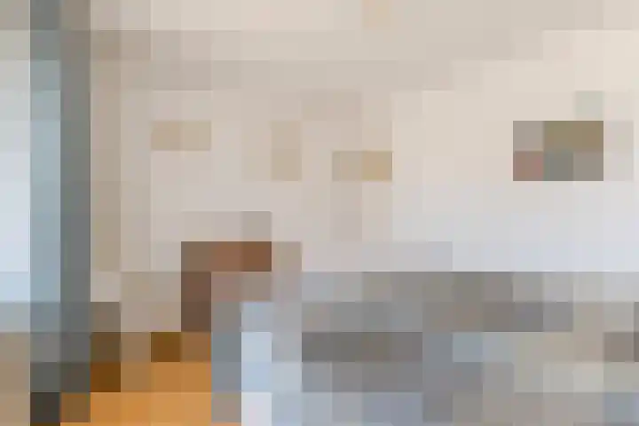 Wijnsel 34 Geldrop thumbnail 18