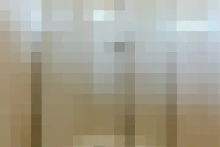 Wijnsel 34 Geldrop thumbnail 24