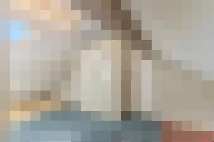 Wijnsel 34 Geldrop thumbnail 29