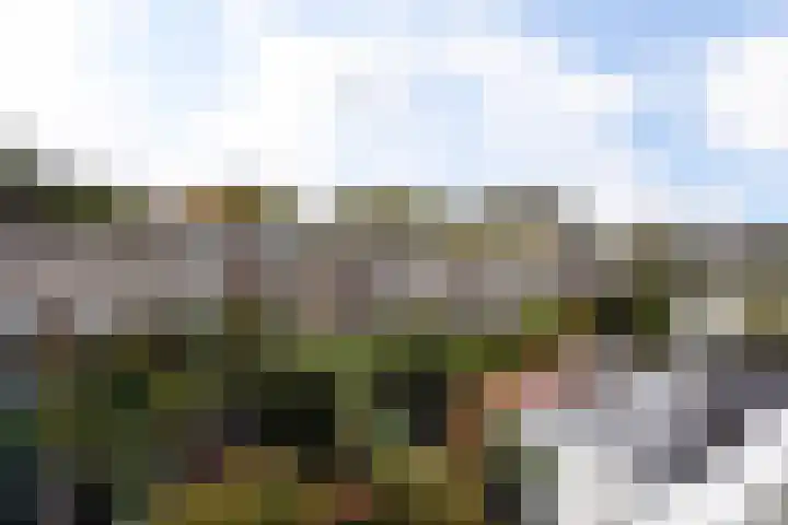 Wijnsel 35 Geldrop thumbnail 10