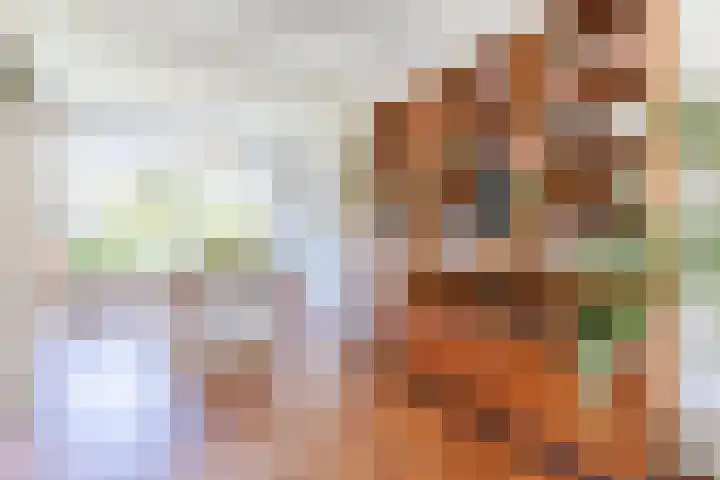 Wijnsel 35 Geldrop thumbnail 11