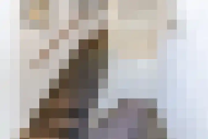 Wijnsel 35 Geldrop thumbnail 20