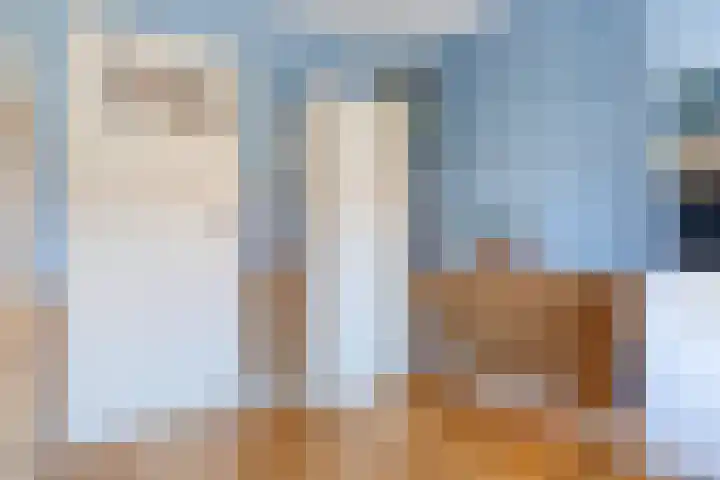Wijnsel 35 Geldrop thumbnail 25