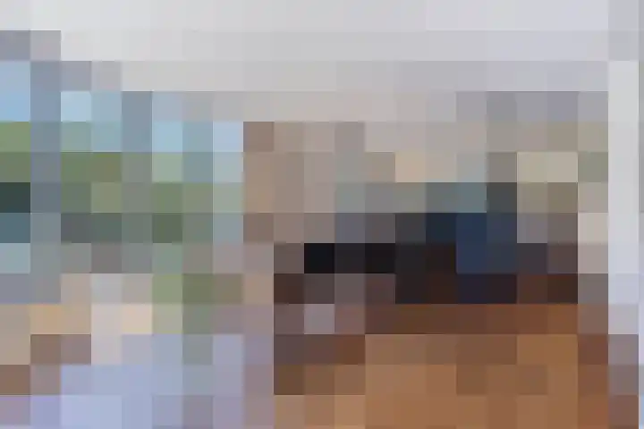 Wijnsel 35 Geldrop thumbnail 26