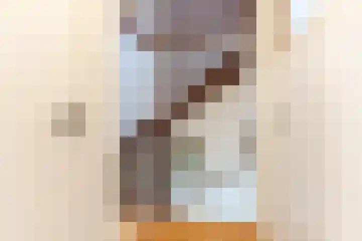 Wijnsel 35 Geldrop thumbnail 29