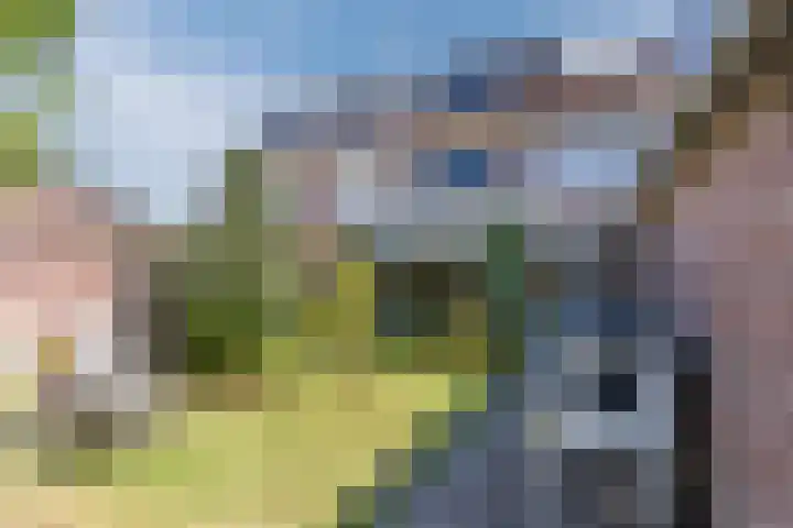 Wijnsel 35 Geldrop foto 3
