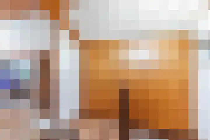 Wijnsel 35 Geldrop thumbnail 31
