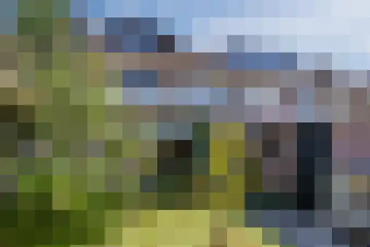 Wijnsel 35 Geldrop thumbnail 35