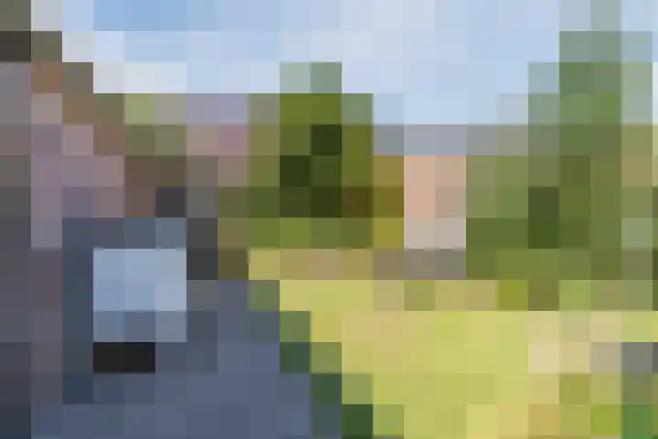 Wijnsel 35 Geldrop thumbnail 37