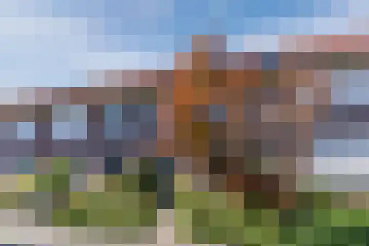 Wijnsel 35 Geldrop thumbnail 39