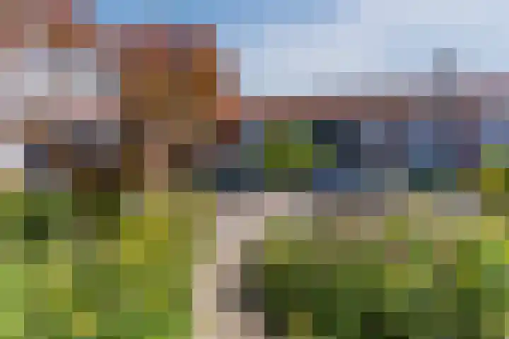 Wijnsel 35 Geldrop thumbnail 40