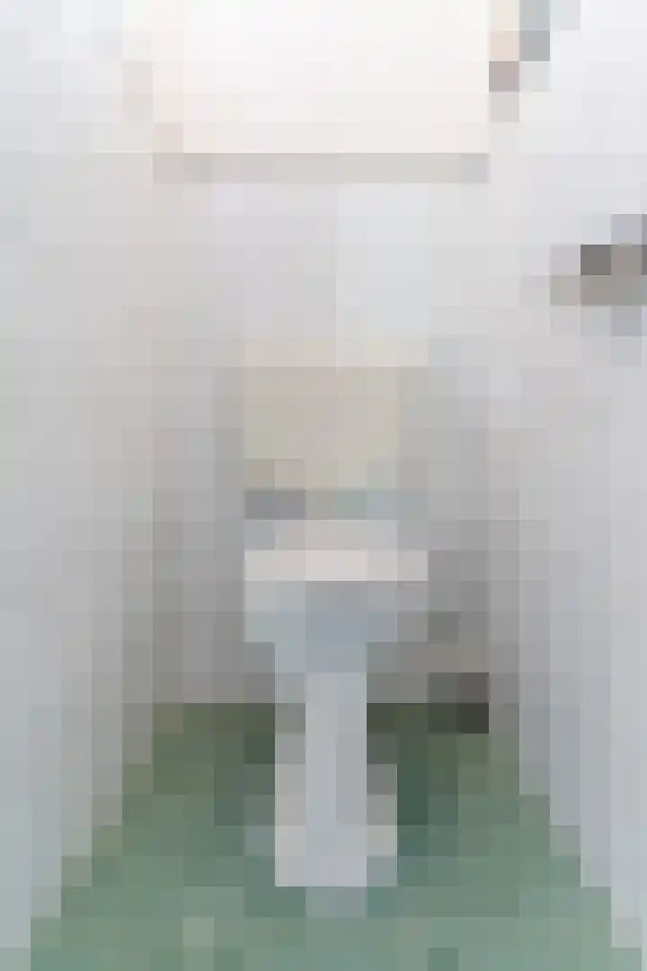 Wijnsel 35 Geldrop thumbnail 5