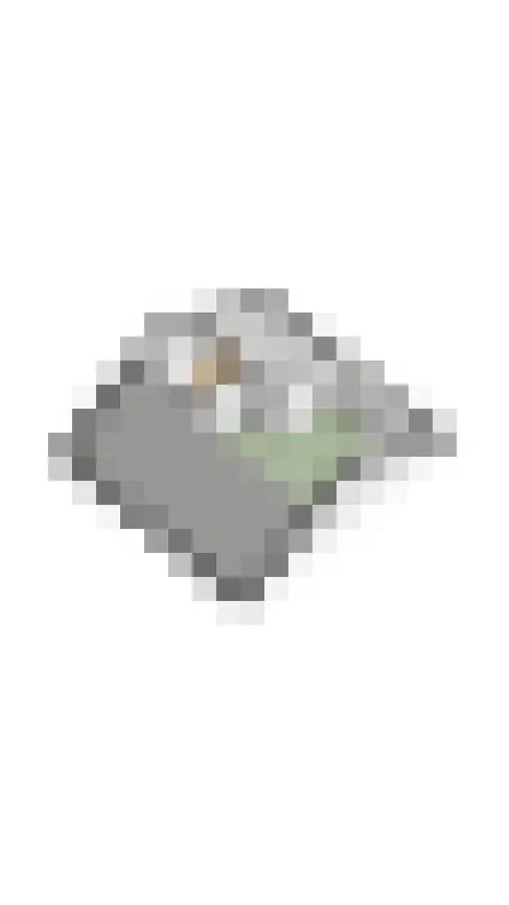 Wijnsel 35 Geldrop thumbnail 51