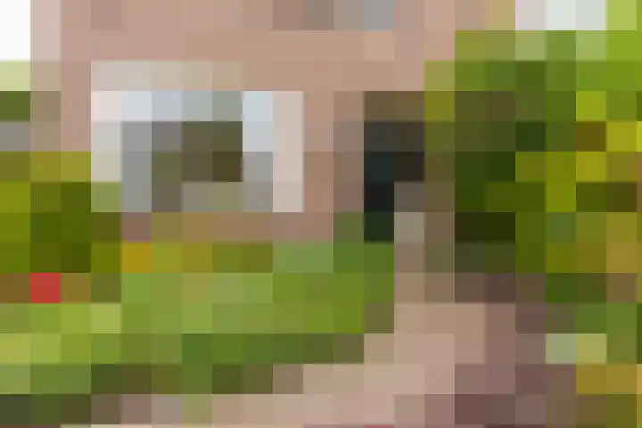 Wijnsel 35 Geldrop thumbnail 7
