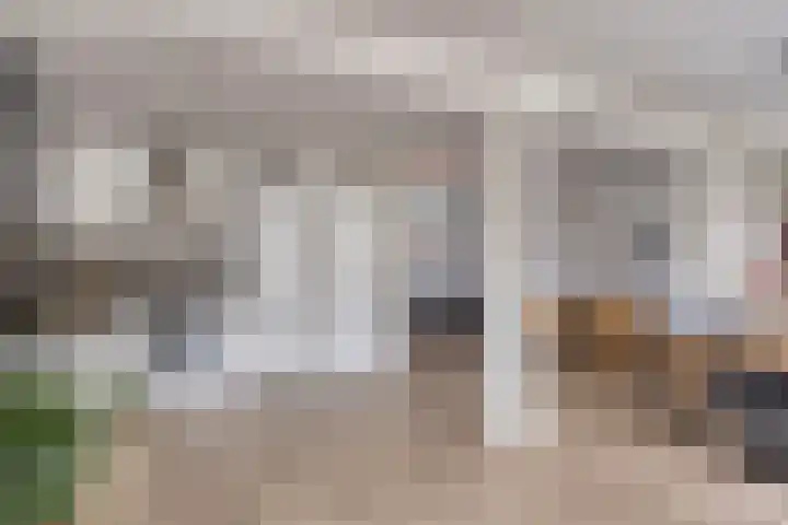 Wijnsel 46 Geldrop thumbnail 14