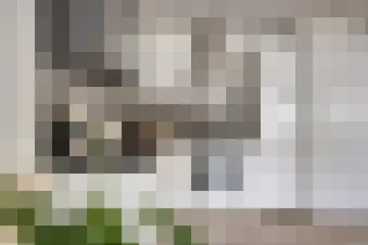 Wijnsel 46 Geldrop thumbnail 17