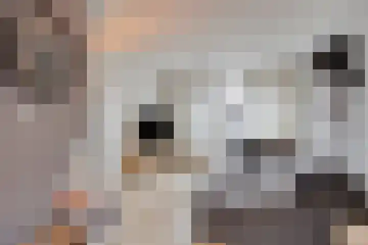 Wijnsel 46 Geldrop thumbnail 45
