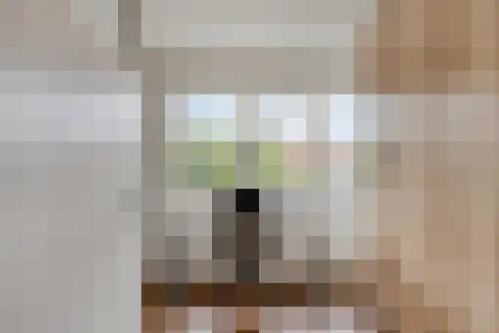 Wijnsel 46 Geldrop thumbnail 61