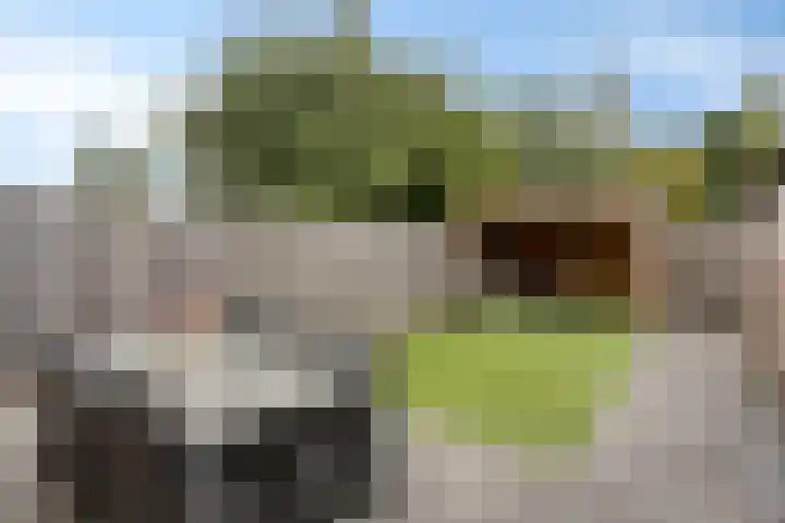 Wijnsel 46 Geldrop thumbnail 64