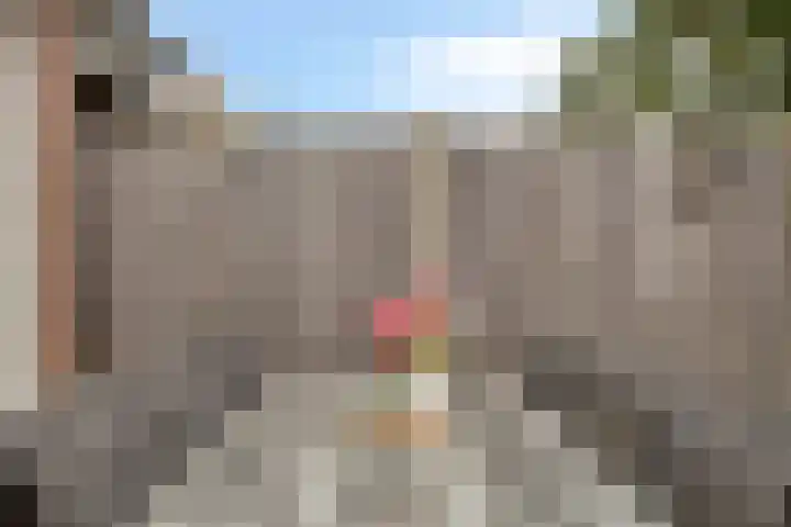 Wijnsel 46 Geldrop thumbnail 65