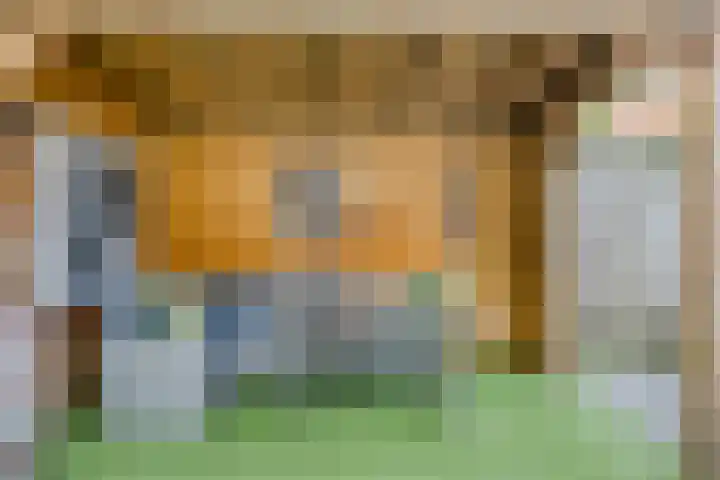 Wijnsel 46 Geldrop thumbnail 66