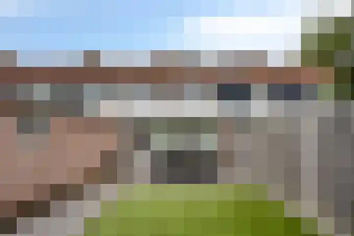 Wijnsel 46 Geldrop thumbnail 67