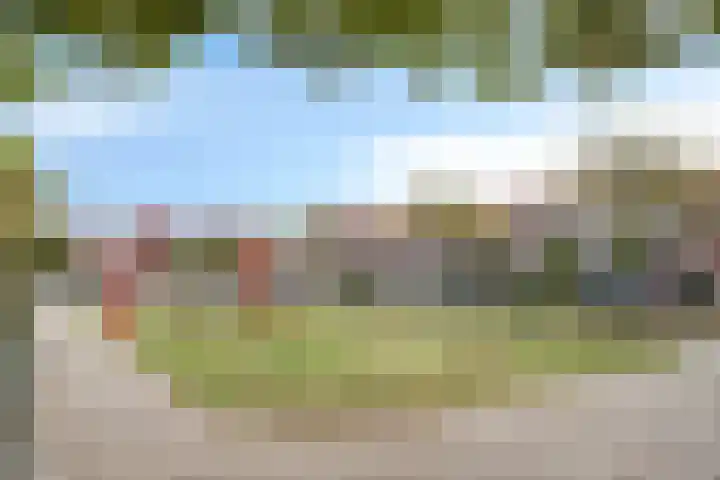 Wijnsel 46 Geldrop thumbnail 68