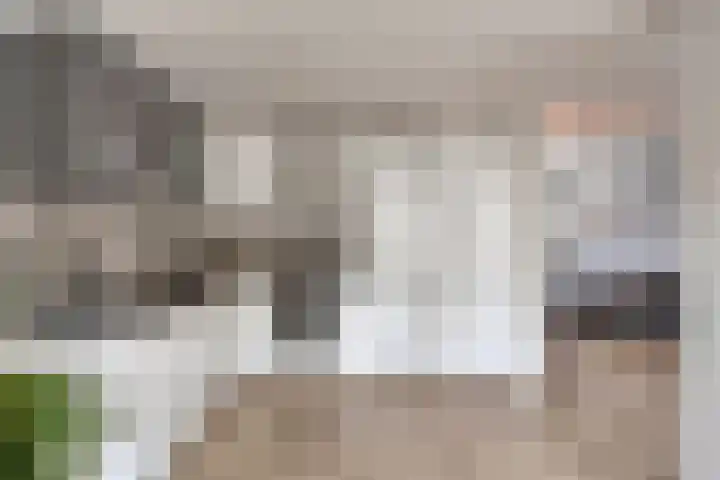 Wijnsel 46 Geldrop thumbnail 83