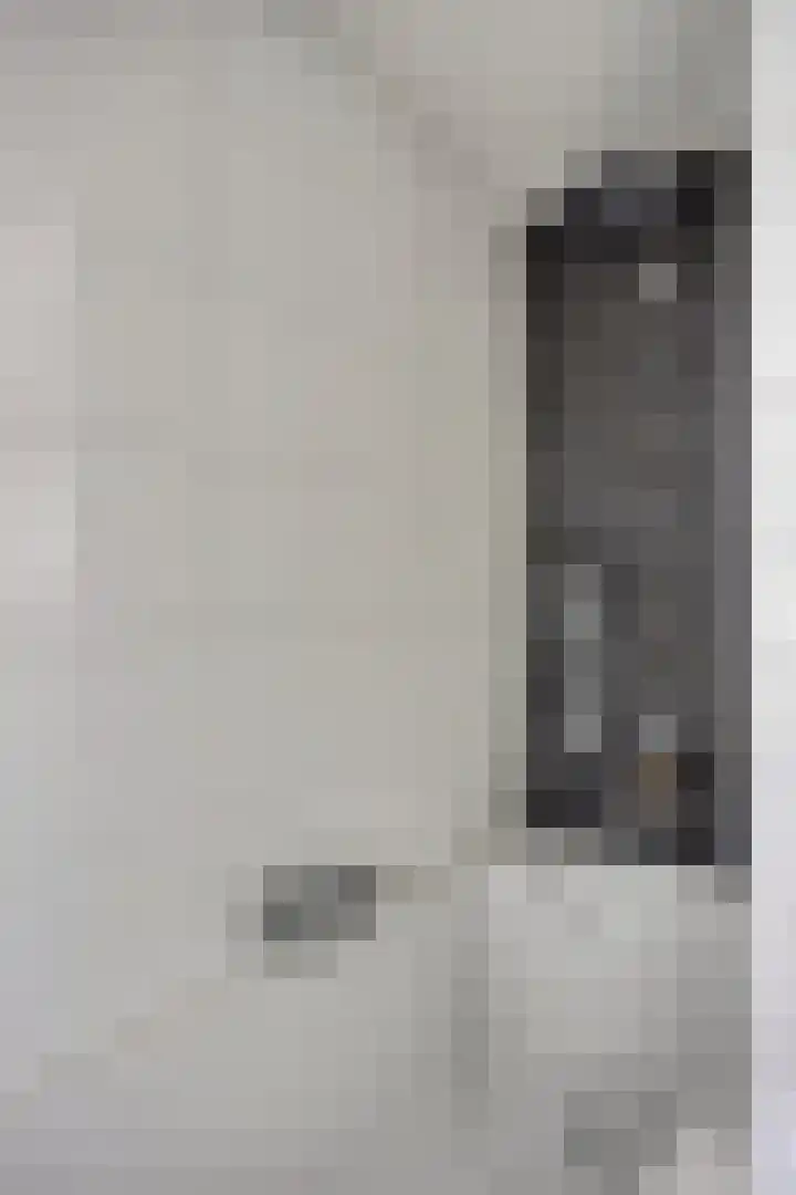 Wijnsel 46 Geldrop thumbnail 93