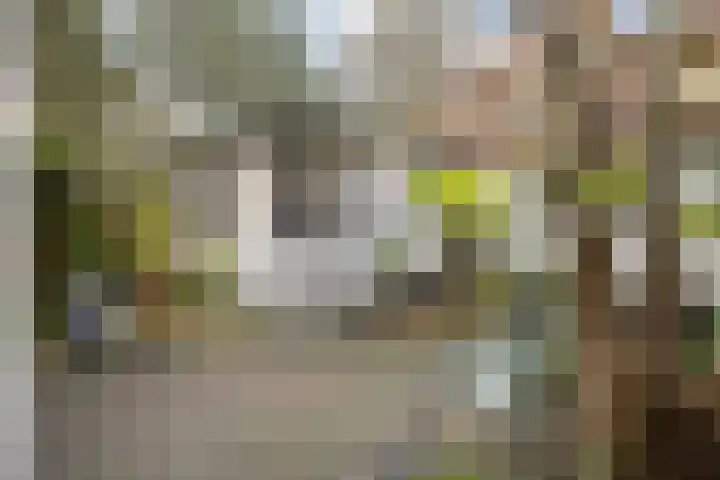 Wijnstraat 1 Dordrecht thumbnail 31