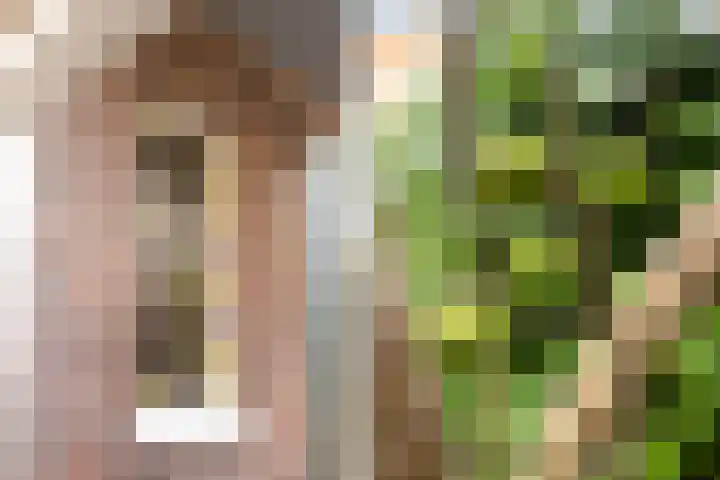Wijnstraat 1 Dordrecht thumbnail 34