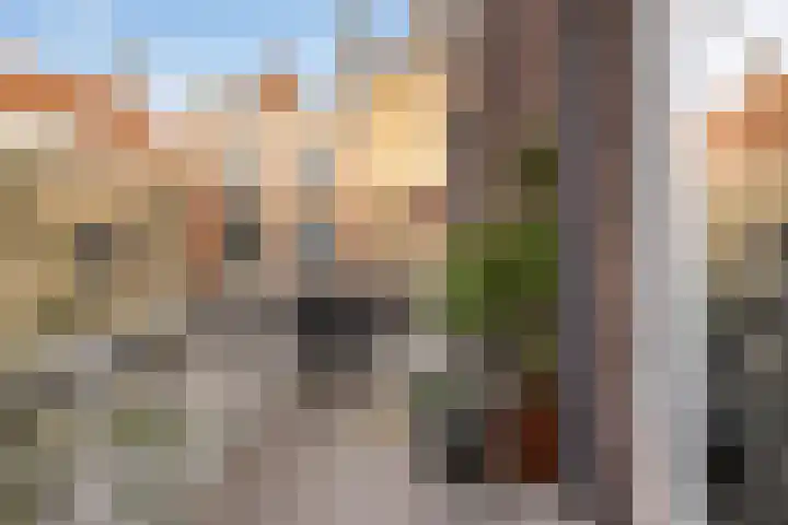 Wijnstraat 1 Dordrecht thumbnail 38