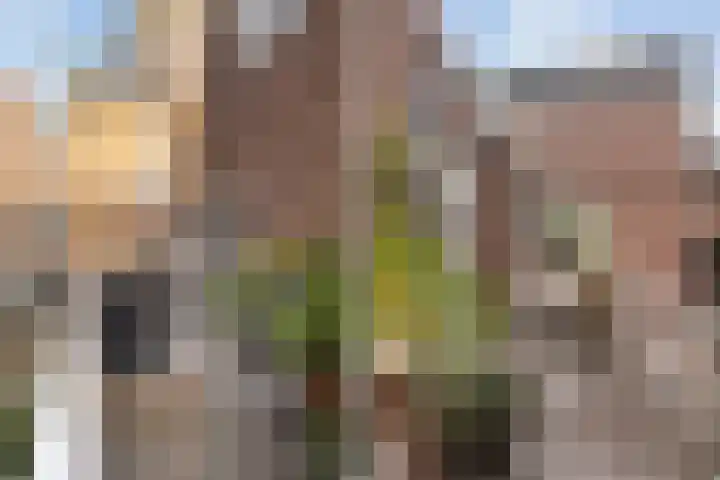 Wijnstraat 1 Dordrecht thumbnail 39