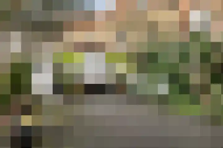 Wijnstraat 1 Dordrecht thumbnail 4