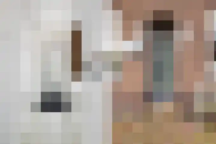 Wijnstraat 1 Dordrecht thumbnail 6