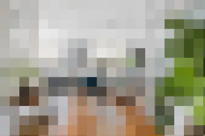 Wijnstraat 1 Dordrecht thumbnail 8