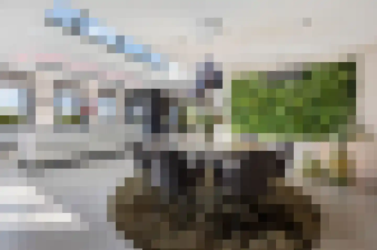 Wijnstraat 10 J Echt thumbnail 11
