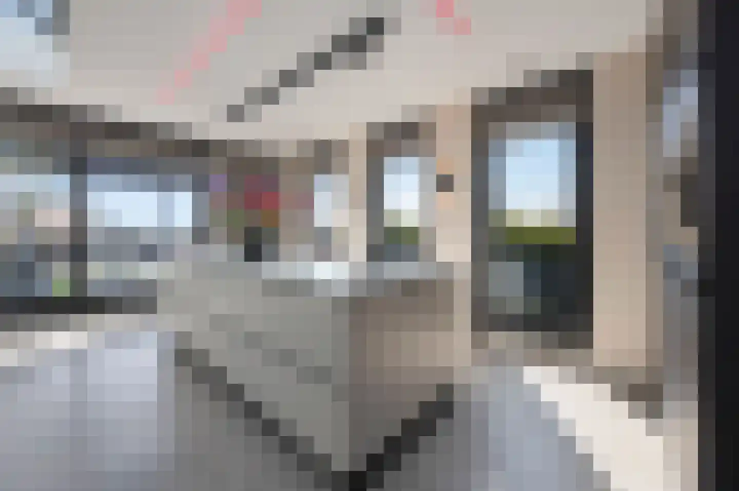 Wijnstraat 10 J Echt thumbnail 17