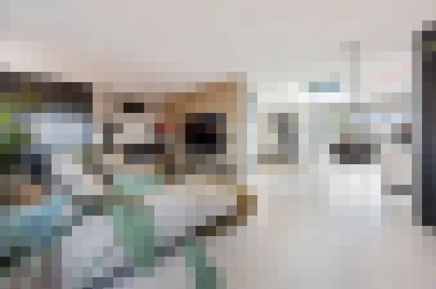 Wijnstraat 10 J Echt thumbnail 22